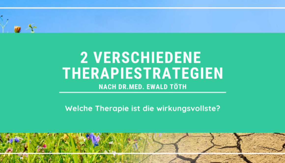 2 Therapiestrategien