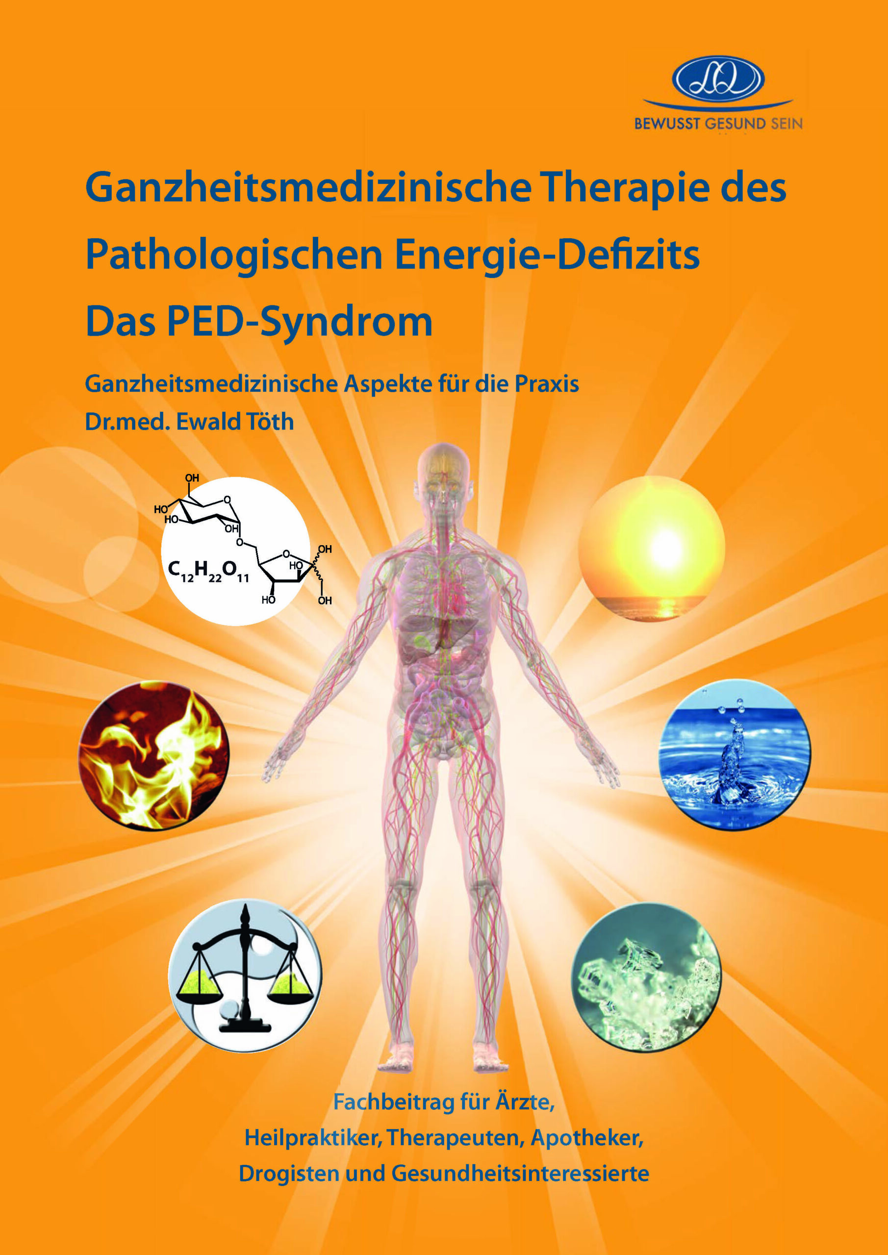 Ganzheitsmedizinische Therapie des Pathologischen Energie-Defizits [Digital]