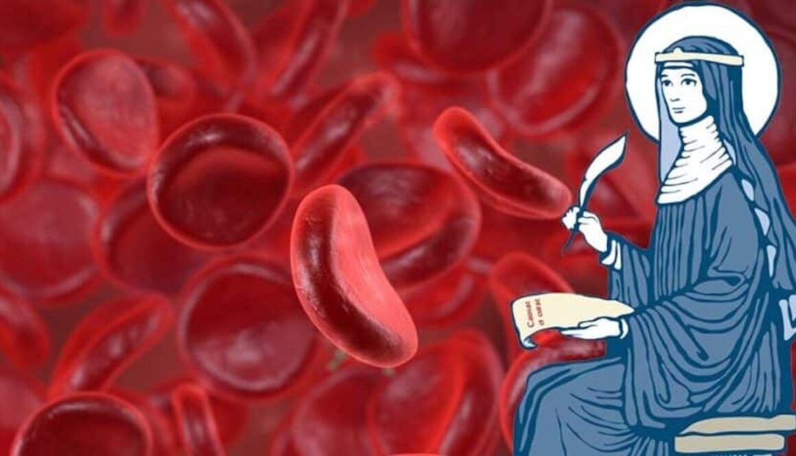 Ausbildung zum Hildegard-Aderlass Lehrbeauftragten<br />nach Dr. med. Ewald Töth<br />26.-29.11.2026<br />Nicht-Mitgliedspreis