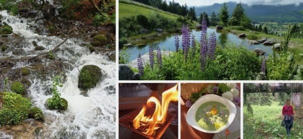 Kräuter, Kraftplätze & Waldbaden: Ein Wochenende für Körper und Seele<br />19. - 21. September 2025