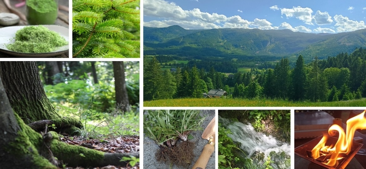 Schätze des Herbstes - Ein Natur-Erlebnis-Wochenende<br />02. - 04. Oktober 2026